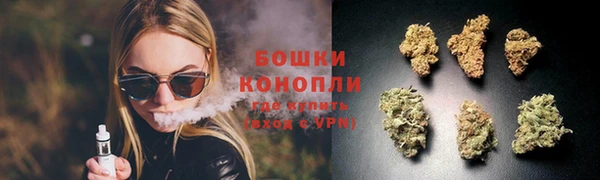 прущая мука Магас