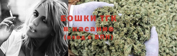 прущая мука Магас