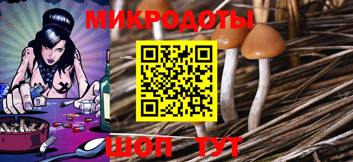 Галлюциногенные грибы мухоморы Сухой Лог